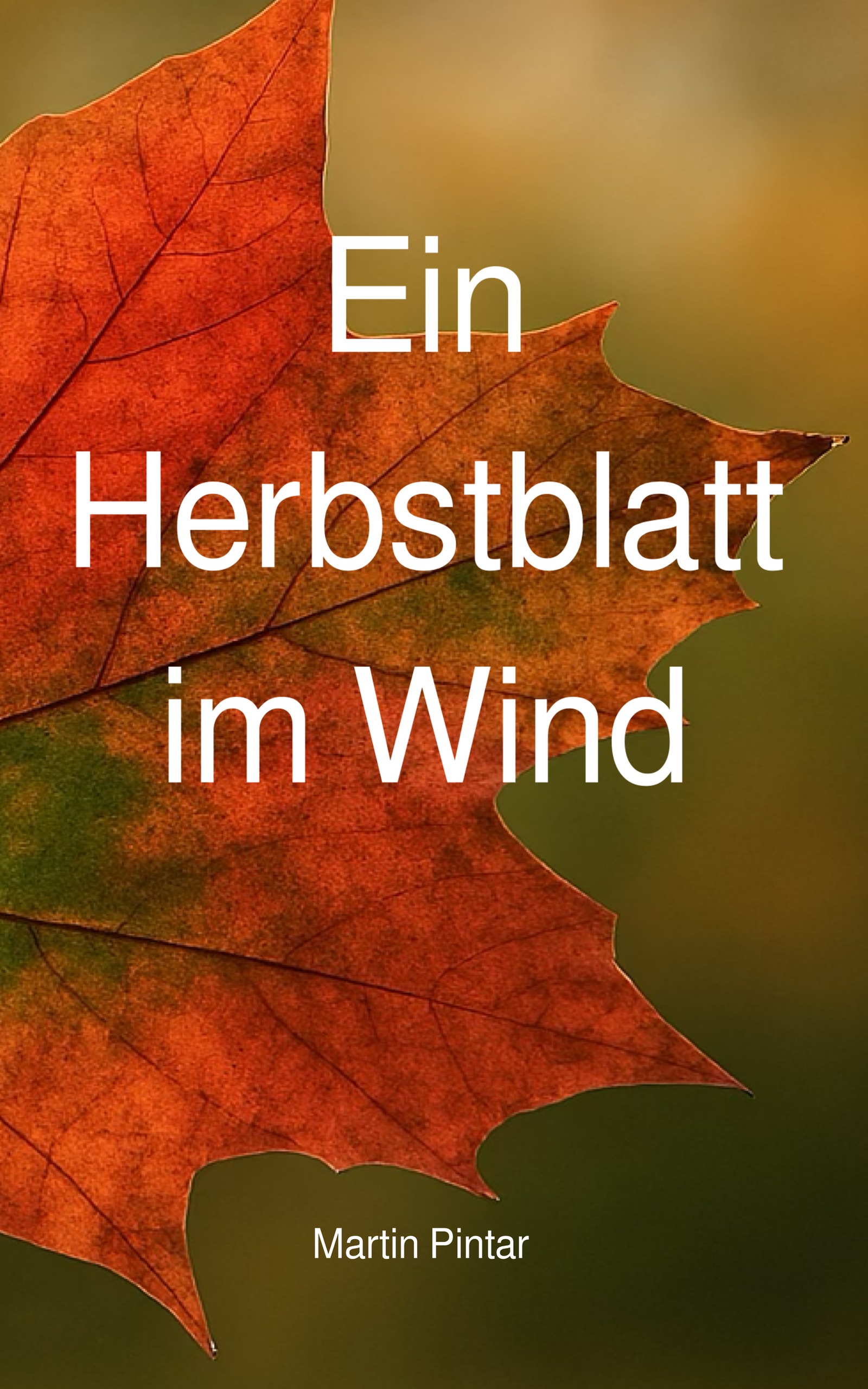 Ein Herbstblatt im Wind — Buchcover von Martin Pintar